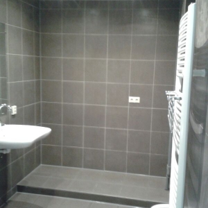 Renovatie badkamer / toilet 